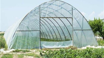 العقيلي: الصوب الزراعية أفضل مشروع حدث في الشرق الأوسط آخر 30 عامًا