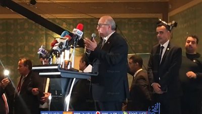 موسى مصطفى: تحالف الأحزاب يهدف إلى حماية الوطن (فيديو)