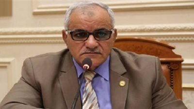 برلماني: قانون المحال العامة يحدد مواعيد الغلق والفتح وفق النشاط والمكان (فيديو)