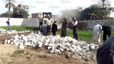 إزالة 85 حالة تعدٍ على أراضي زراعية بالزينية في الأقصر (صور) 