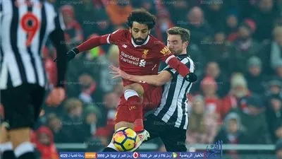 ماذا تعرف عن 