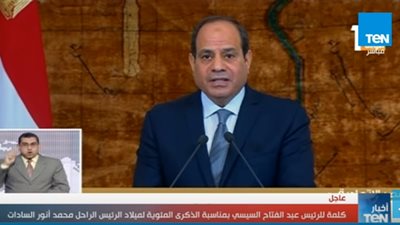 الرئيس السيسي: 