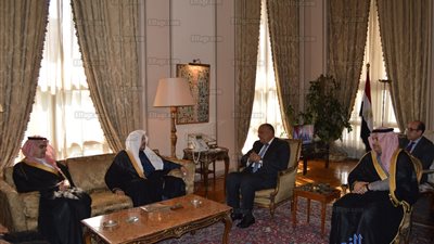 شكري يبحث آفاق العلاقات المصرية السعودية مع رئيس مجلس الشورى 