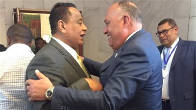 تطوير التعاون واستعادة الدور المصري.. ننشر إنجازات الخارجية إفريقيًا (حصاد 2018)