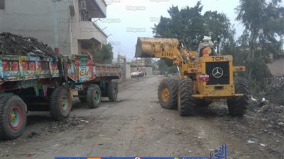 بالجهود الذاتية.. تطوير وتشجير قرية كفر أبو ناصر بالدقهلية بـ50 ألف جنيه (صور)