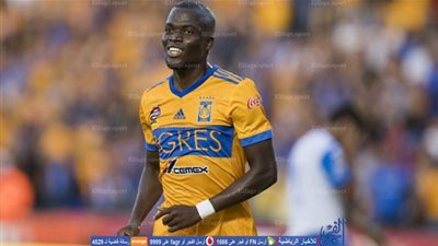 عاجل.. الأهلي يقترب من ضم نجم منتخب الإكوادور