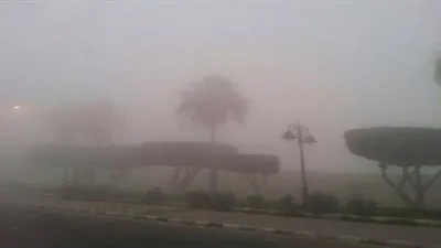 ضباب كثيف على الطائف والمرور يحذر