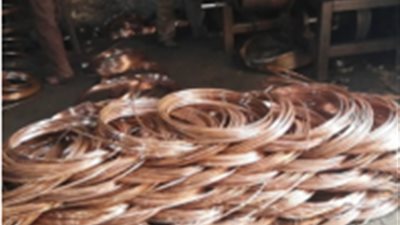 في 24 ساعة.. حملات تموينية مُكبرة في 4 محافظات (صور) 