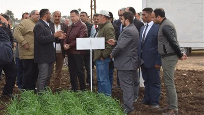 محافظ بني سويف يطالب بإرشادية وتوعية المزارعين بـ