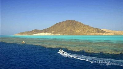 وقف رحلات الغطس لجزيرتي الأخوين.. والمحافظ تنفيذ برنامج تدريبي لرفع الوعي 