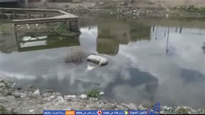 ظهور حيوانات نافقة بترعة 