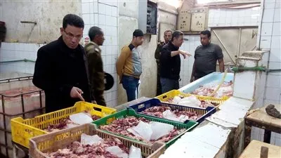 ضبط طن ونصف دواجن ولحوم غير صالحة للاستهلاك الآدمي بالقناطر (صور)