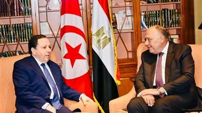 شكري يلتقي نظيره التونسي في القاهرة لبحث تعزيز العلاقات الثنائية