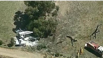  نجاة طائرة بعد سقوطها من ارتفاع 120 متر (فيديو)