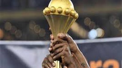 بعد فوزها بنتظيم كأس الأمم الأفريقية 2019.. هذه الدول العربية التي ساندت مصر