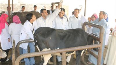 وظائف شاغرة للأطباء في الإسكندرية (اعرف التفاصيل)