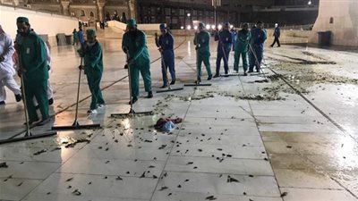 بعد انتشار الجراد.. نشطاء يتربصون للمملكة وسعر خيالي للكيلو