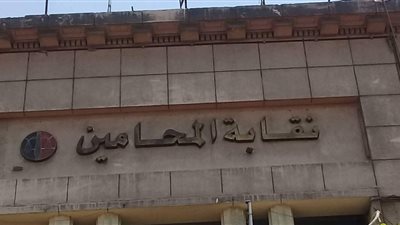 دعوى تطالب بإلغاء قرار نقيب المحامين بشأن تجديد كارنيهات 2019