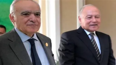 أبو الغيط وغسان سلامة يبحثان جهود حلحلة الأزمة الليبية