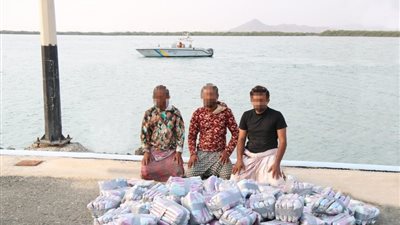 حرس حدود المملكة يحبط تهريب ٨٧٦ كجم 