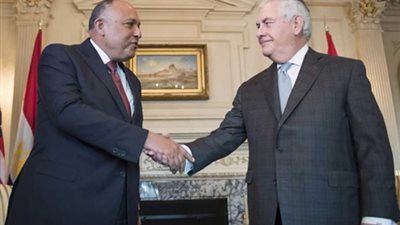 أكدت على معركة السيسي الثابتة ضد الإرهاب.. ما الثمار التي جنتها مصر من زيارة وزير الخارجية الأمريكي؟ (تقرير)