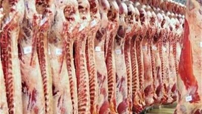 الزراعة: انخفاض أسعار اللحوم 20% عن العام الماضى بفضل مشروع البتلو