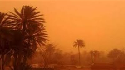  عاجل.. رياح محملة بالأتربة وطقس سئ يضرب الوادي الجديد (صور)