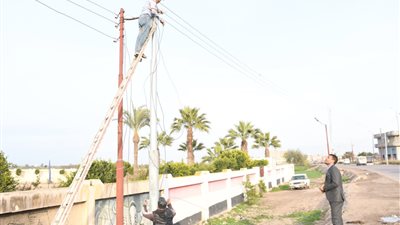 زرع 110 عمود كهرباء جديد بطريق 