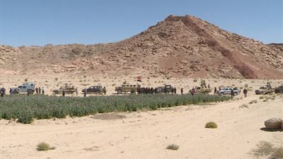 شيوخ سيناء: قبائل البدو تعيش في استقرار بعد النجاحات الهائلة التي حققتها العملية الشاملة