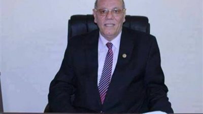 غدا.. انتخابات الإعادة بين نصير ويحيى في زفتى بالغربية (صور)