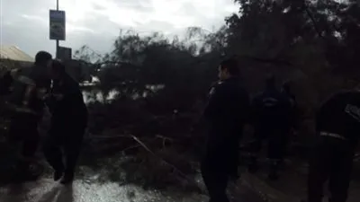 ننشر خسائر الطقس السيء في محافظة الدقهلية