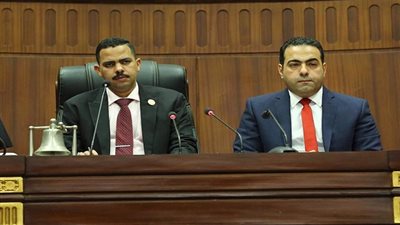 7 ملاحظات للجنة الشباب والرياضة بالبرلمان لتعديل قانون الرياضة