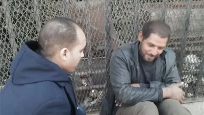 التدخل السريع بالتضامن