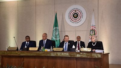 أبو الغيط: الدول العربية ليس بمقدورها مواكبة التطورات الاقتصادية بمفردها