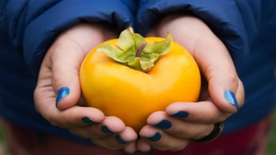 تعرفي على فوائد 