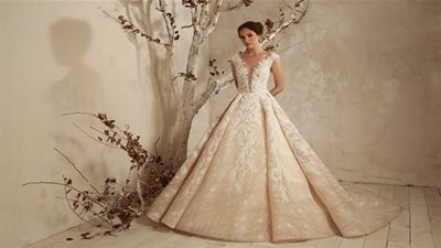 إليكِ أجمل موديلات فساتين الزفاف الدانتيل المنفوشة لموسم 2019 (صور)