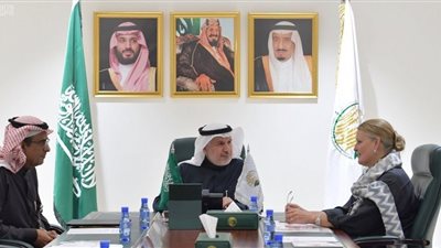 الربيعة يلتقي المنسقة المقيمة للأمم المتحدة ومنسقة الشؤون الإنسانية في اليمن