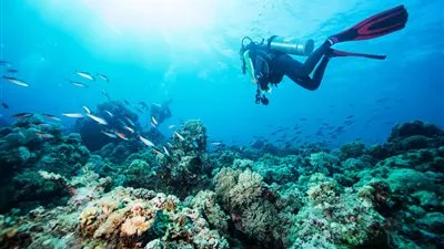 البحرين تعلن إنشاء أكبر منتزه غوص في العالم