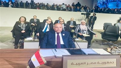 ننشر نص كلمة مصر أمام القمة العربية الاقتصادية التنموية في بيروت 