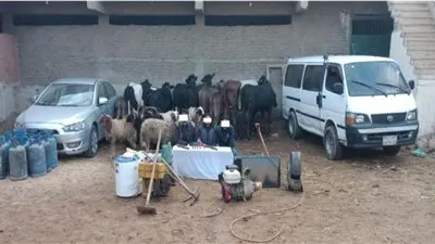 ضبط تشكيل عصابي تخصص في سرقة المواشي بالشرقية