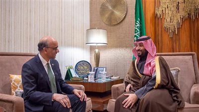 ولي العهد السعودي يلتقي نائب رئيس وزراء سنغافورة