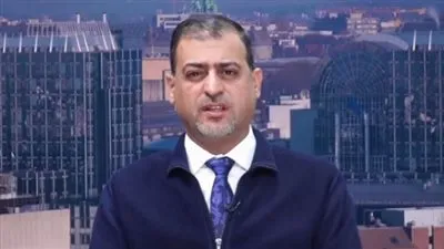 باحث سياسي: ليس من شأن بروكسل التدخل لحل مشاكل 