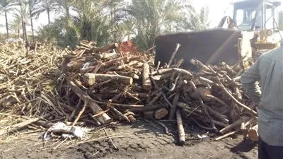 وحدة كفر البطيخ تزيل 55 مكمورة فحم بدمياط (صور)