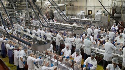 المملكة توقف استيراد الدجاج البرازيلي