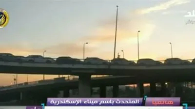 أول تعليق من ميناء الاسكندرية على فيديو تكدس السيارات بسبب حملة 