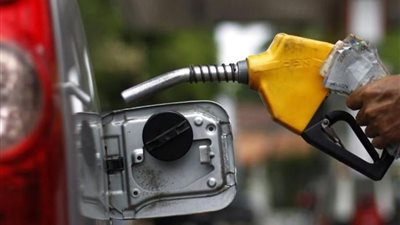 ليست نكتة.. عالم سويدي ينجح في إنتاج البنزين من اللب