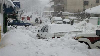 موجة برد في تونس والجزائر تخلف خسائر بشرية ومادية (فيديو)