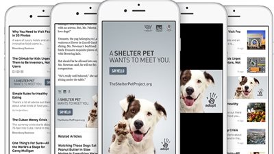 النسخة التجريبية 