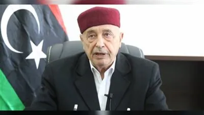 النواب الليبي يتهم قطر بمحاولة عرقلة الانتخابات