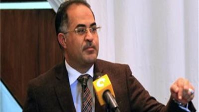 وكيل النواب عن زيارة رئيس فرنسا: مصر حجر الزاوية لاستقرار المنطقة